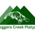 Enoggera Creek Catchment Macro Invertebrate surveys icon
