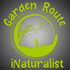 Great Southern Bioblitz 2023: Garden Route icon
