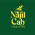 Polinizadores Najil Cab icon