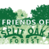 Split Oak Forest Fall 2023 BioBlitz icon