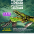 Primer Conteo de Anfibios y Reptiles de Pastaza 2023 icon