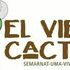 &quot;El Viejo Cactus: Jardín para polinizadores&quot;, Hgo. icon
