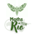 &quot;Moths from Rio&quot;: Sphingidae do Rio de Janeiro, Brasil icon