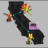 California Pollination Project icon