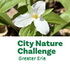 City Nature Challenge 2024: Greater Erie icon