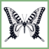 Lepidópteros do Sudeste Goiano icon