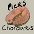 Pier&#39;s Chordates icon