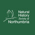 The North East Bee Hunt icon