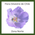 Flora Silvestre de Chile: Zona Norte icon