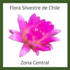 Flora Silvestre de Chile: Zona Central icon