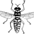 El Paso Hoverfly Survey icon