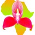 Orchids of Africa [OrchidMAP] icon