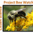 Project Bee Watch icon