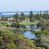 Plants of Warrnambool and District icon