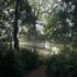 City Nature Challenge: 2024 Agumbe Rainforest icon