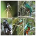 Las Aves De Chiriquí icon
