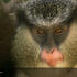 Lekki Conservation Centre Project icon