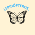 lepidópteros de Vega de Alatorre. icon
