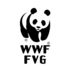 CNC WWF FVG icon