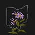 Native Plants of Ohio icon