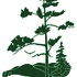 Fauna of Pfeiffer Nature Center- Eshelman Preserve icon
