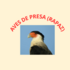 Aves Rapaces de Vega de Alatorre. icon