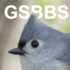 George School Breeding Bird Survey icon