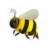 Bees of Wake County (NC) icon