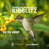 Parks for Pollinators City of Novi 2024 icon