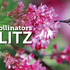 Parks for Pollinators 2024:  City of Portland Parks &amp; Recreation icon