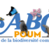 ABC Poum icon