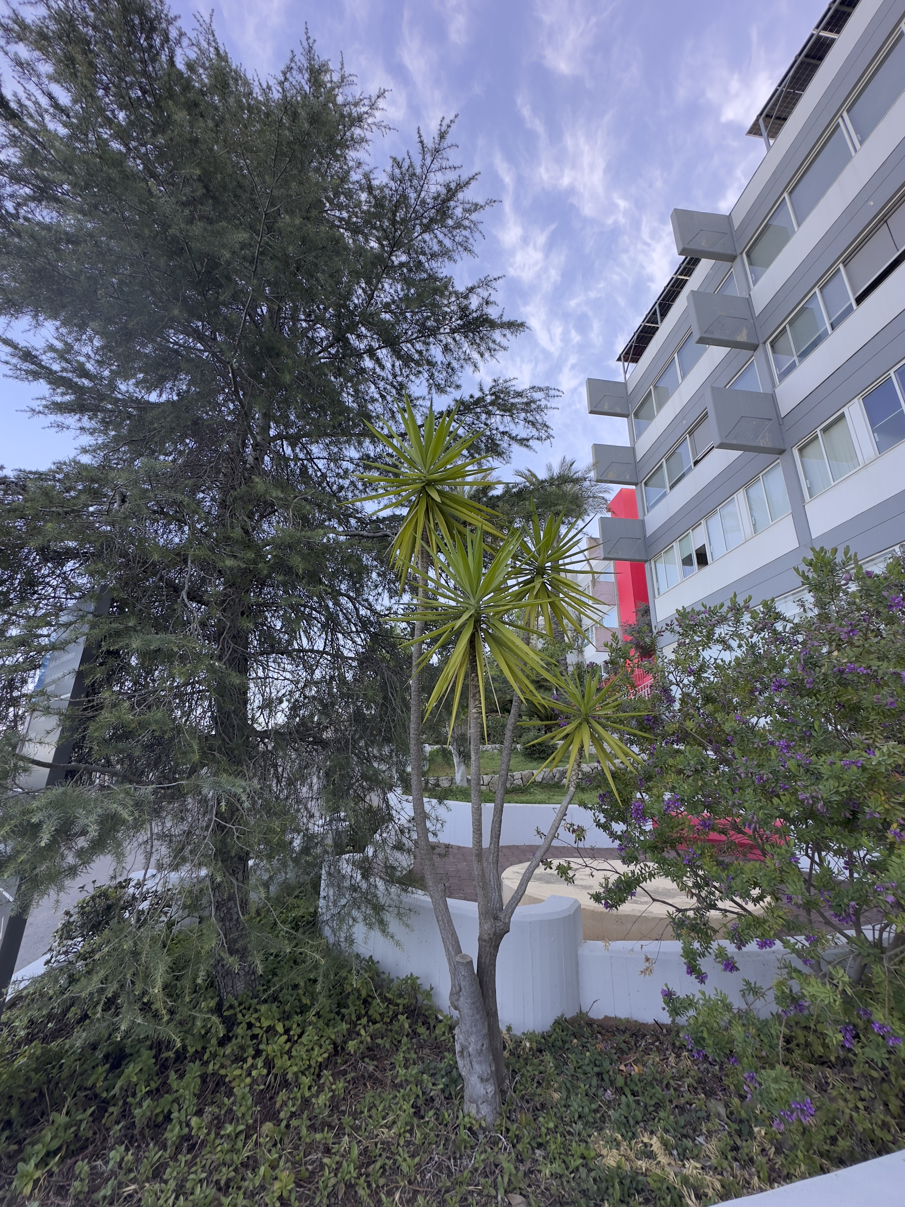 Nahr Ibrahim Fleurs Rouges Biodiversité au Lycée Nahr Ibrahim · iNaturalist