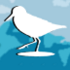 Birds of Sanibel and Captiva Island icon