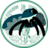 Bangkok Jumping Spiders icon