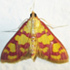 Khama III Museum - Moths of Serowe icon
