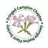 2024 Fringed Campion Chapter of GNPS Pollinator Week BioBlitz! icon