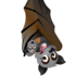 Bats in Backyards - Flying-fox watch icon