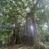 Aguiguan bioblitz icon