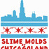 Slime Molds of Chicagoland icon