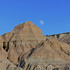 Plants of Badlands National Park icon