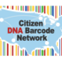 CDBN Ants from Nigeria 2021 icon