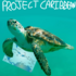 Project Caribbean icon