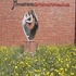 Artenvielfalt auf dem Gelände der Anne-Frank-Gemeinschaftsschule Elmshorn icon