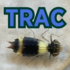 Pond Life of TRAC icon