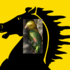 Stuttgarter Amazonen icon