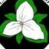 NPSOPDX24 Fall Fruits, Seeds and Nuts Bioblitz icon