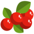 Art Plants — fruit icon