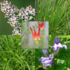 MMSD Headquarters Urban Refuge icon