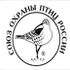 Татарстан - Российская зима 2024-2025 icon
