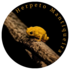 Herpeto Mantiqueira icon